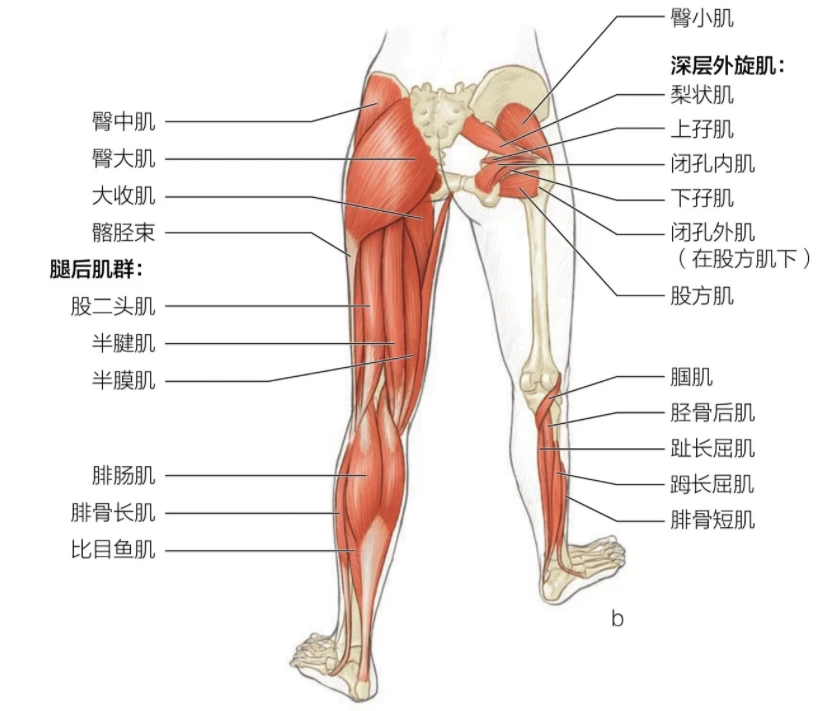 制定篮球交流计划以促进个人技能发展的方法_1